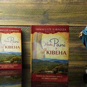 Naša Pani z Kibeha - Opäť ďalšie zjavenia Panny Márie - Image 6