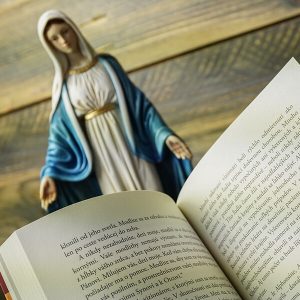 Naša Pani z Kibeha - Opäť ďalšie zjavenia Panny Márie - Image 5